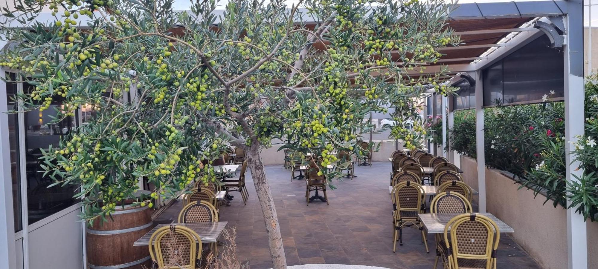 Hotel Restaurant Calypso Fos-sur-Mer Dış mekan fotoğraf